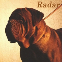 CH. Radar (Sans Affixe)